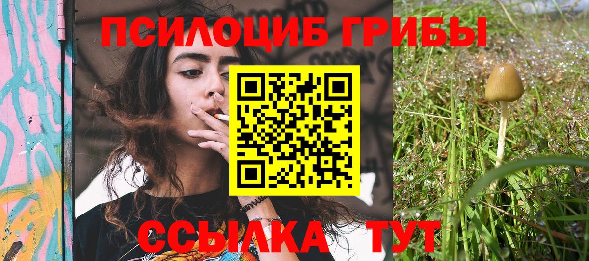 Галлюциногенные грибы мицелий Фролово