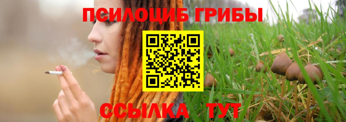 как найти закладки  Галлюциногенные грибы мухоморы  Псилоцибиновые грибы Psilocybe  Вход с VPN  Фролово 